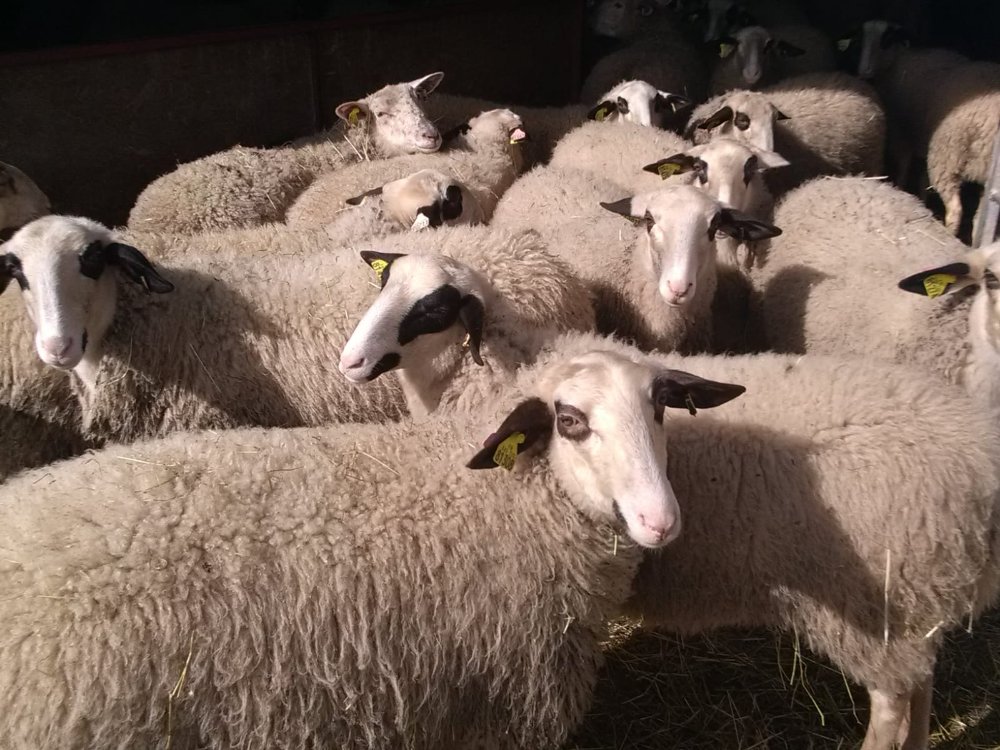 Aire camping-car � Lunegarde (46240) - Photo 3